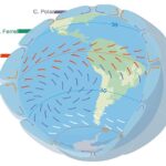 how do the westerlies benefit the people of western europe